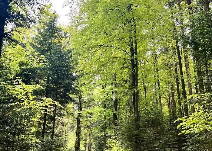 홈스테이 Caquihome *