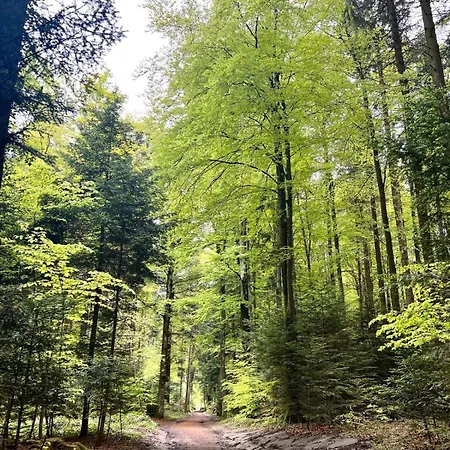 Pansiyon Caquihome *